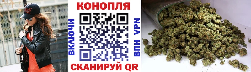 где купить   Сысерть  Бошки марихуана ГИДРОПОН 